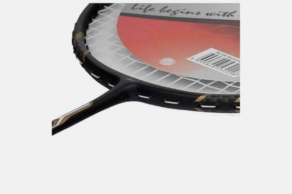 Tryon BR-500 Badminton Raketi