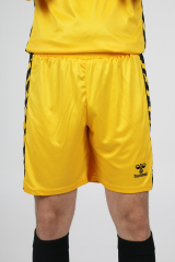 Hummel Royal Kaleci Şortu Sarı